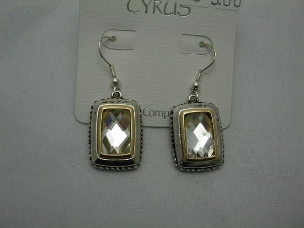 Crystal Stone Earring in Silver